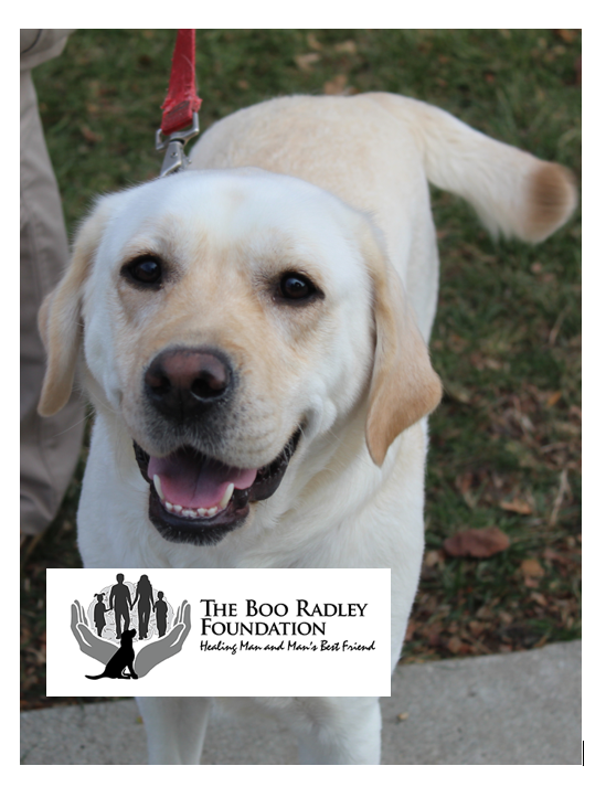 Paws to Cure Cancer 5K Sign Up 