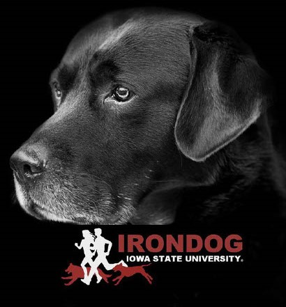 11th Annual IronDog 5K Walk/Run 